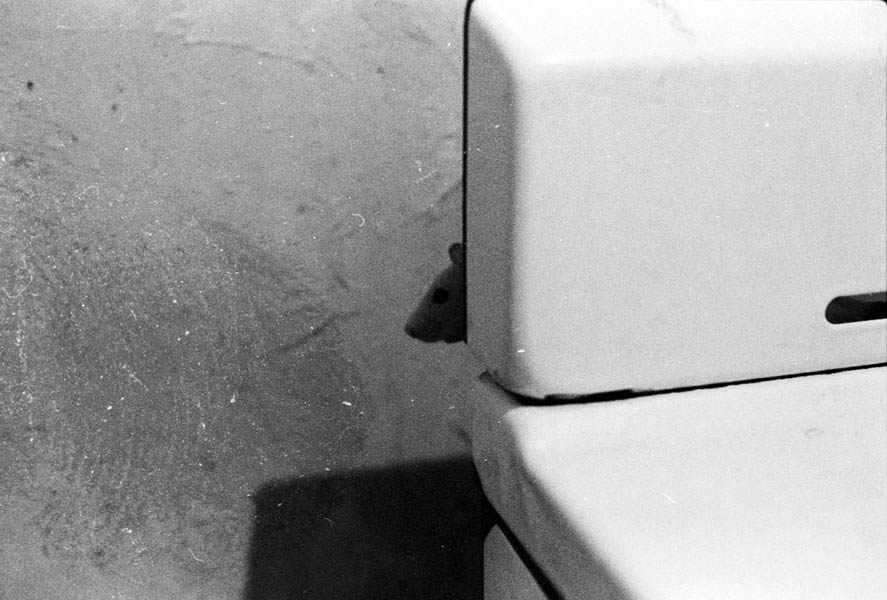 18-Peek_Stove
