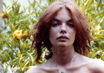 Bare_garden