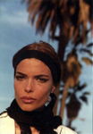 HeadBand_PalmTree